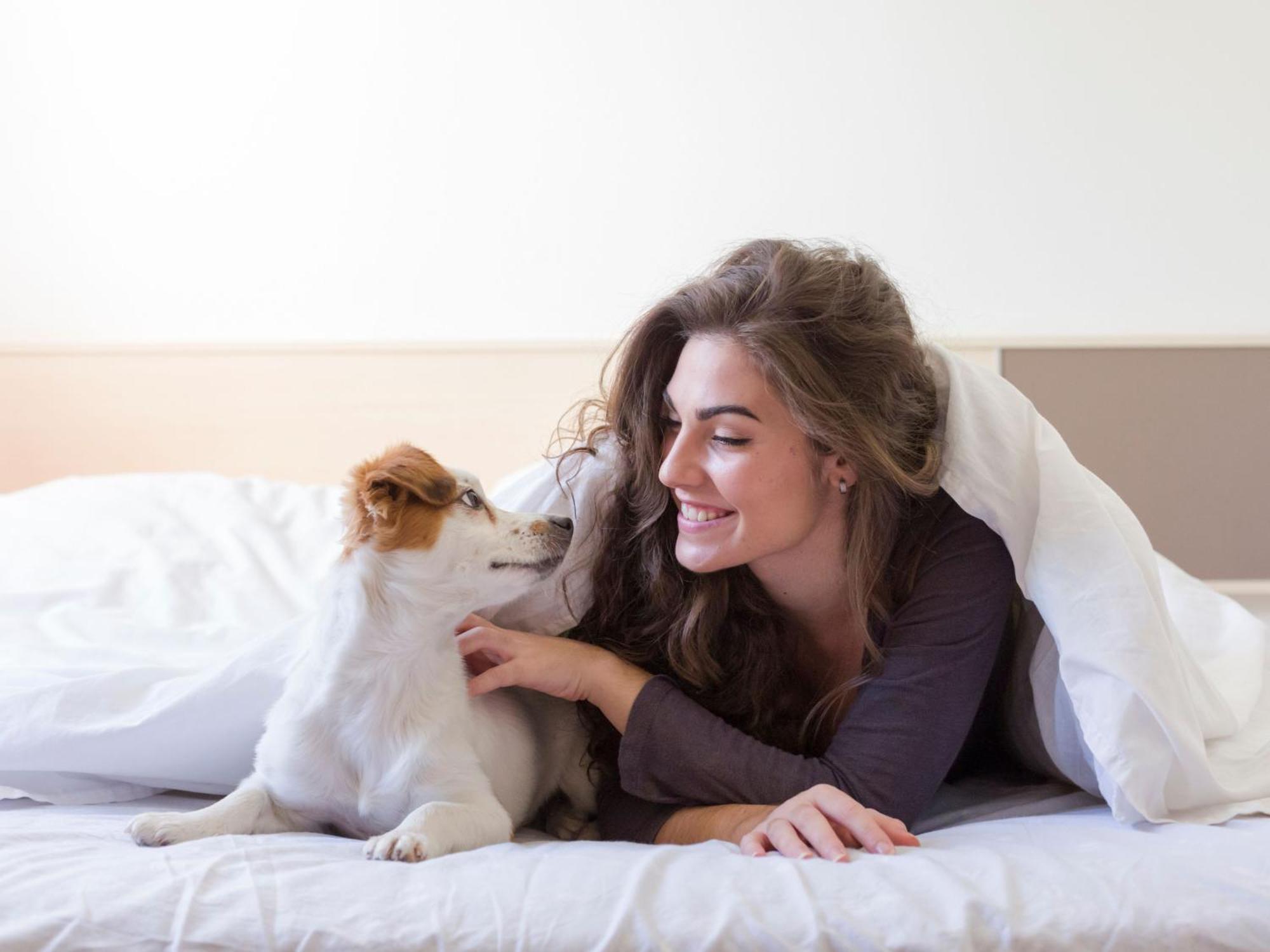 Apartamentos Tierra De Irta 3000 Peñíscola エクステリア 写真