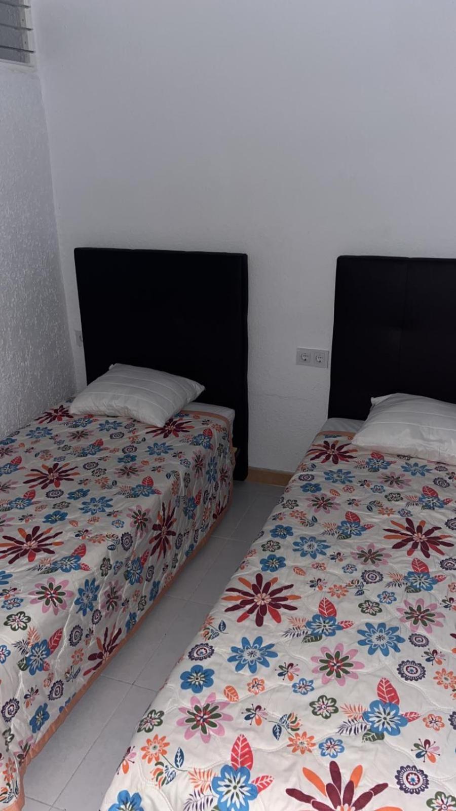 Apartamentos Tierra De Irta 3000 Peñíscola エクステリア 写真